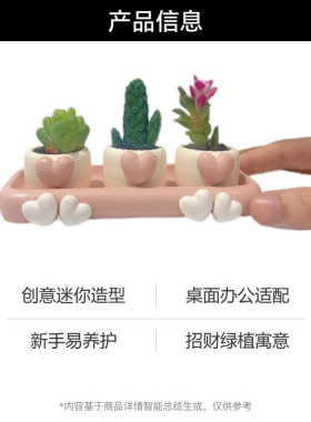 办公室桌面创意多肉拇指小花盆桌绿植新手好养活