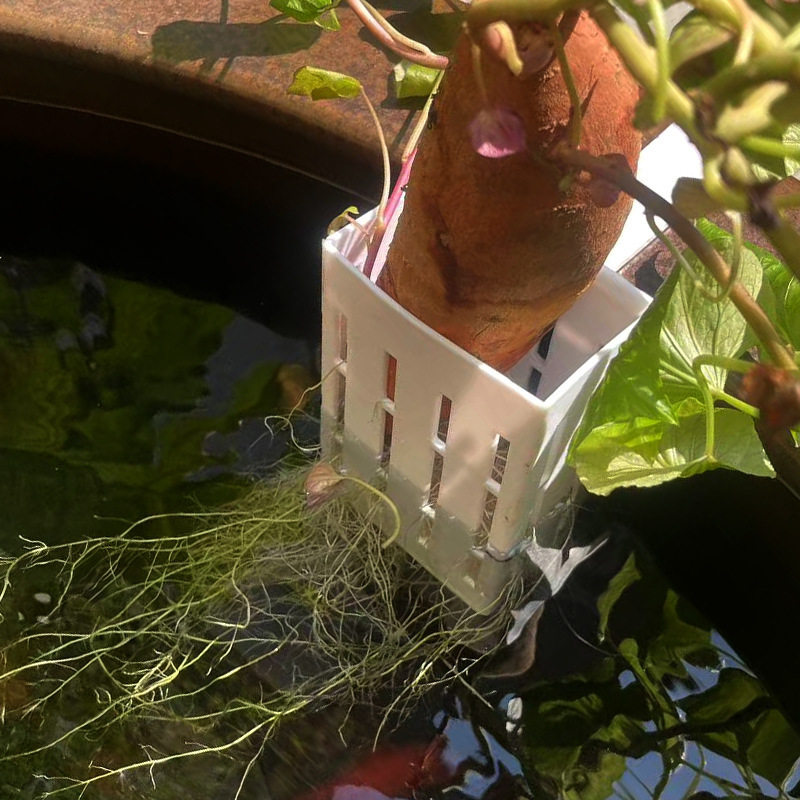 新款壁挂式水培红薯篮鱼缸水培挂饰造景装饰配件厂家批发定植篮