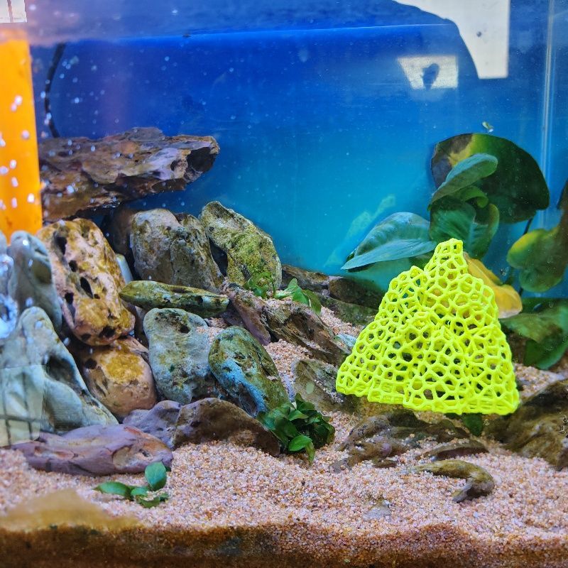 打印镂空摆件蜂窝鱼缸躲避鱼虾水晶小鱼繁殖庇护所创意造景水族山