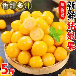 菇娘果5斤整箱包邮力荐
