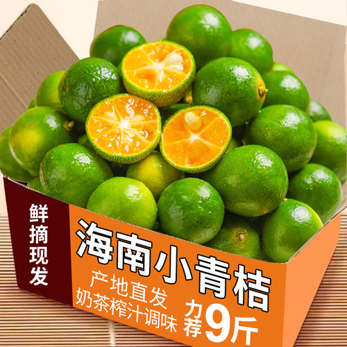 海南小青桔力荐5斤包邮
