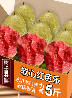 广西软糯红心芭乐5斤新鲜水果番石榴脆甜软糯胭脂红巴乐整箱包邮1
