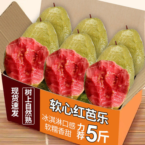 广西软糯红心芭乐力荐5斤包邮