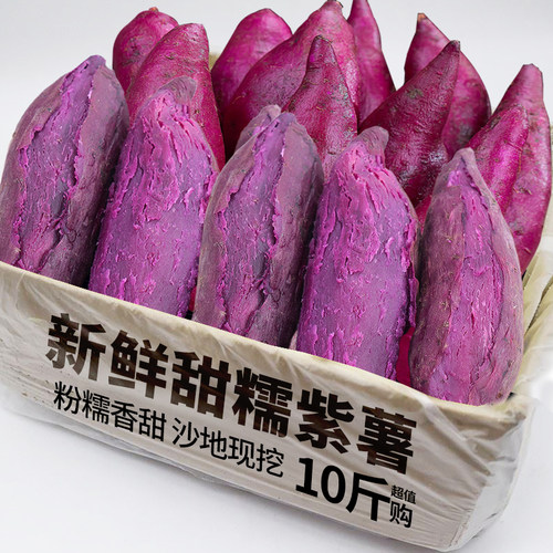 沙地紫薯9斤整箱包邮力荐