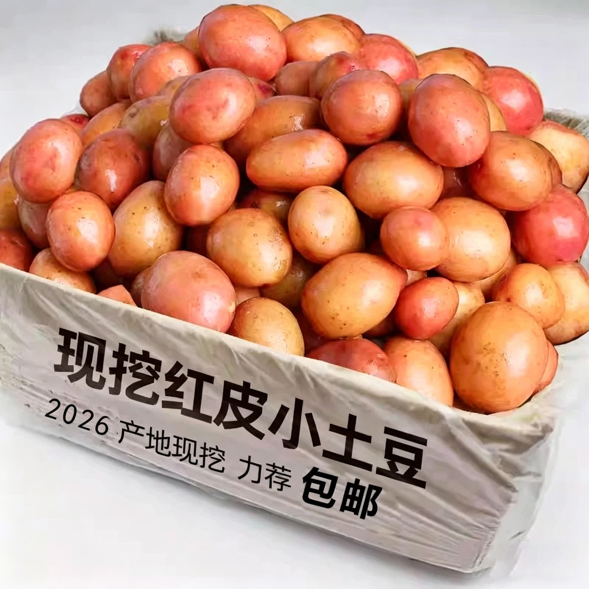 红皮黄心土豆掌柜力荐整箱包邮