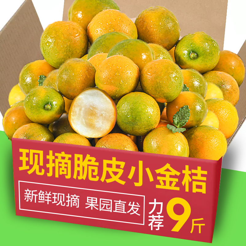 广西融安脆皮金桔力荐9斤包邮