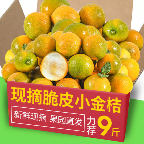 广西融安脆皮金桔力荐9斤包邮