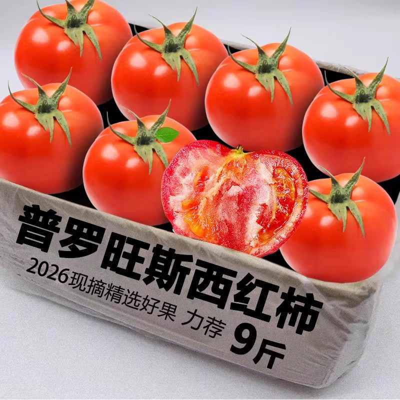 沙瓤西红柿番茄整箱包邮