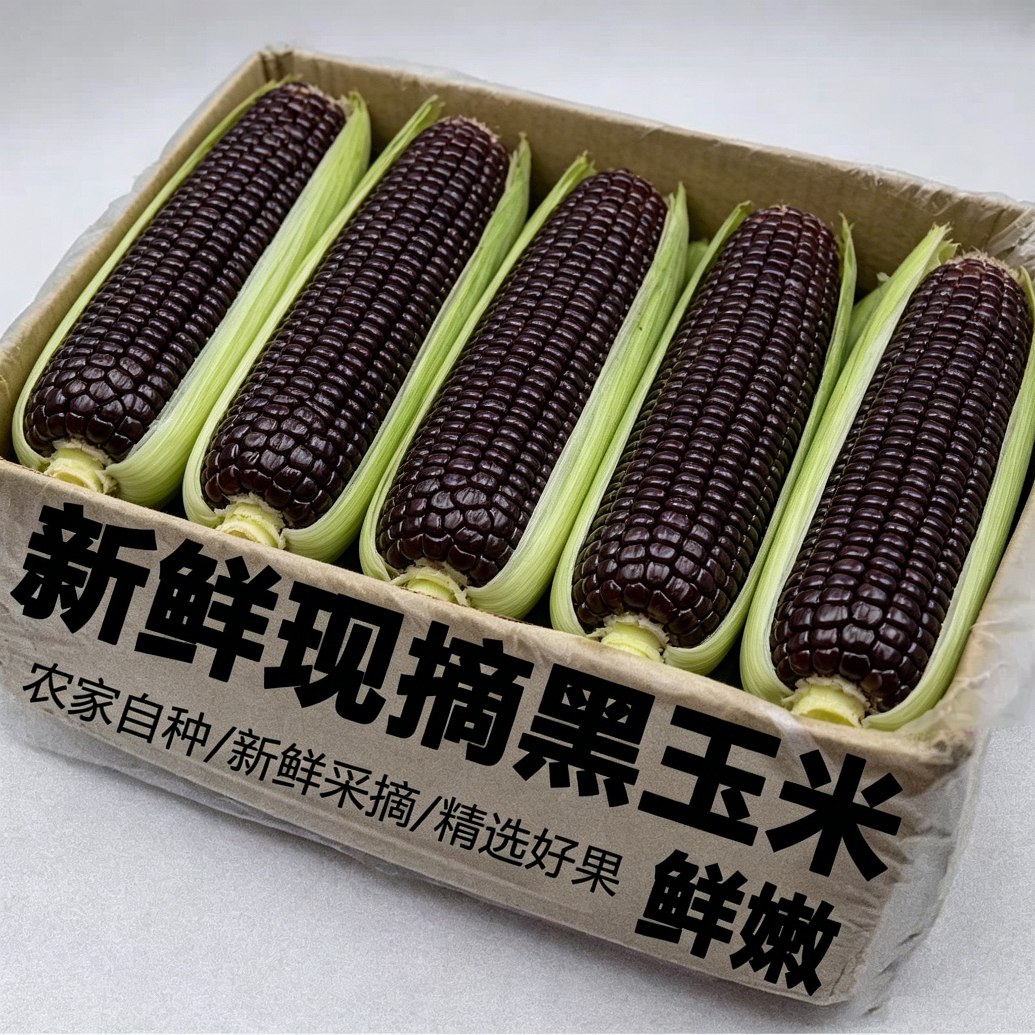 现摘新鲜农家甜糯黑玉米带皮