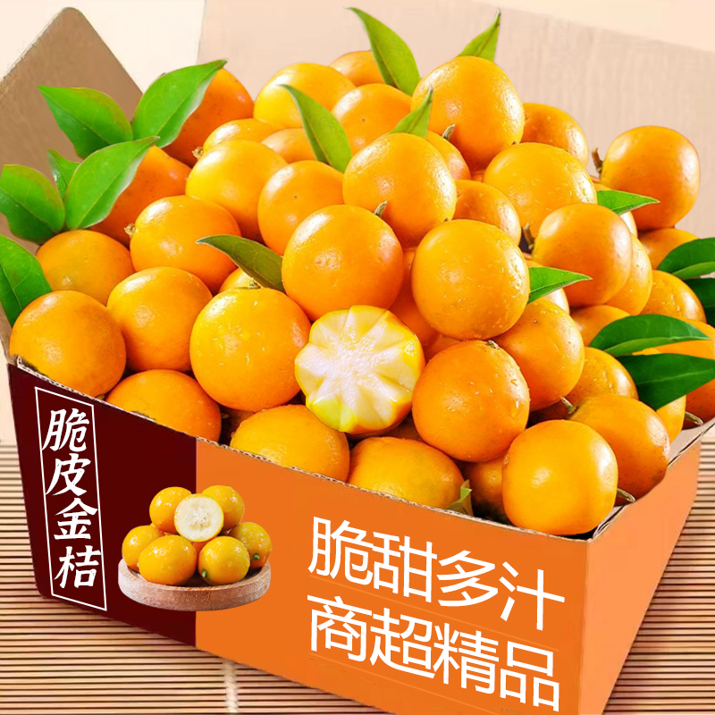 脆皮小金桔新鲜现摘纯甜多汁