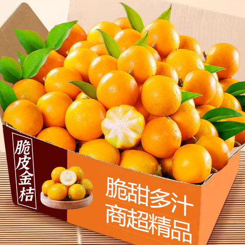 力荐！3斤脆皮金桔整箱包邮