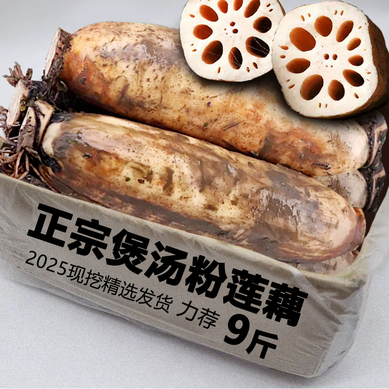 洪湖粉莲藕煲汤粉糯香鲜