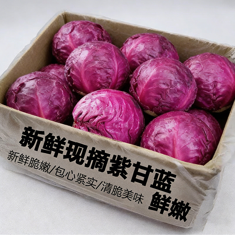新鲜紫甘蓝包菜卷心菜紫甘蓝