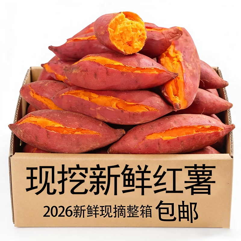 红薯当季西瓜红蜜薯糖心新鲜番薯板栗六鳌沙地瓜山芋农家自种黄心