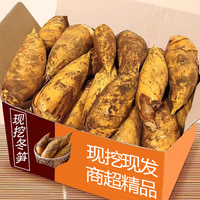 新鲜冬笋整箱包邮力荐