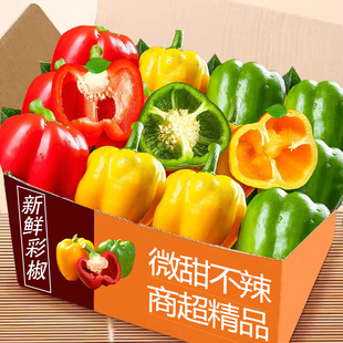 甜椒生吃不辣五彩椒新鲜圆椒柿子椒红椒黄椒绿椒七彩辣椒水果椒