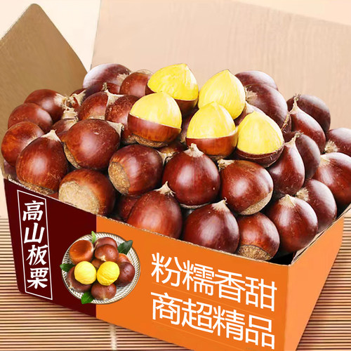 高山板栗嫩毛新鲜现摘现发