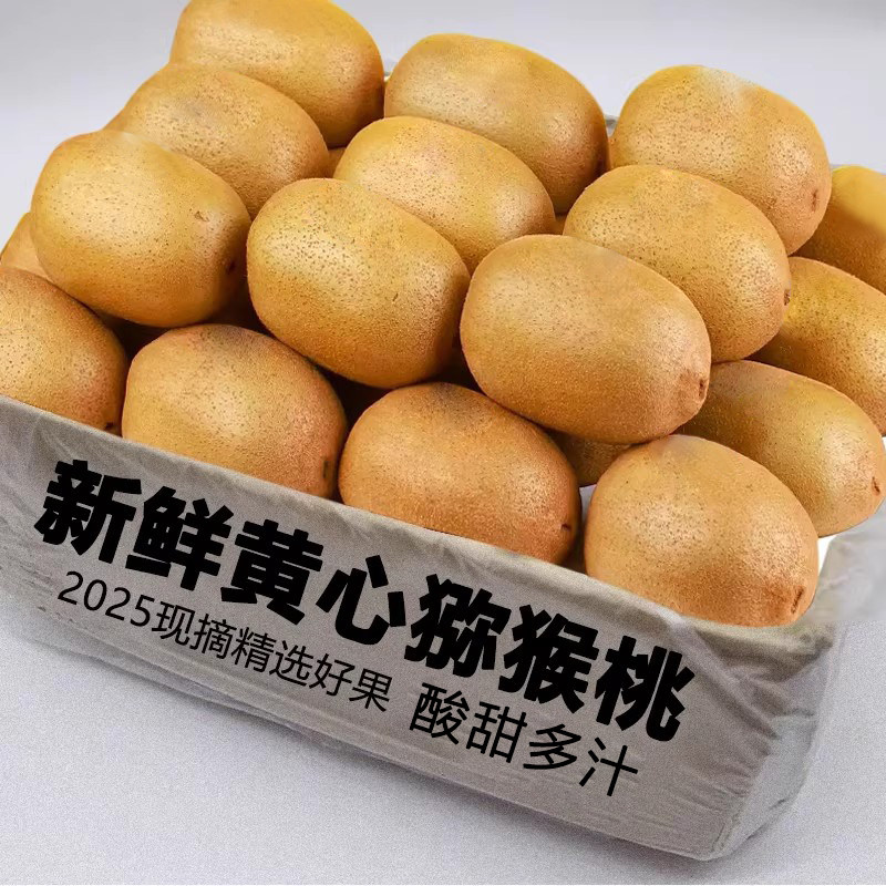 当季黄心猕猴桃新鲜包邮奇异果12枚酸甜大果金果孕妇当季整箱包邮,水产肉类/新鲜蔬果/熟食,奇异果/猕猴桃,淘宝优惠券,粉丝福利购,淘宝优惠卷