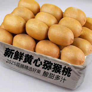 当季黄心猕猴桃新鲜包邮奇异果12枚酸甜大果金果孕妇当季整箱包邮