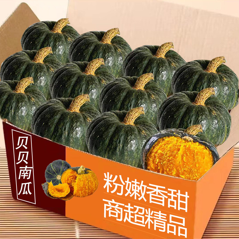 正宗贝贝南瓜5斤宝宝辅食板栗味小南瓜新鲜蔬菜迷你南瓜批发包邮 - 菁口乐旗舰店出品