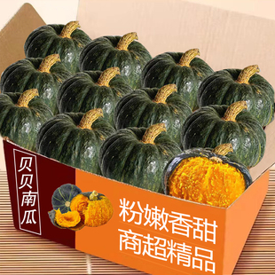 正宗贝贝南瓜5斤宝宝辅食板栗味小南瓜新鲜蔬菜迷你南瓜批发包邮