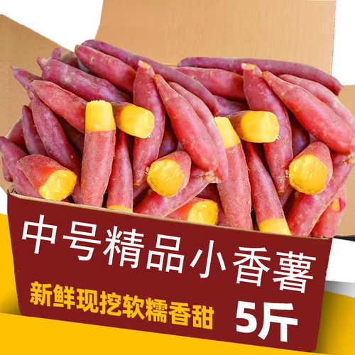力荐！5斤新鲜小香薯整箱包邮