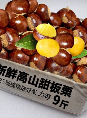 新鲜板栗2025新上市丹东生板栗红壳毛栗子应季水果蔬菜现摘现发货