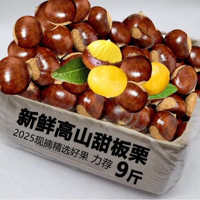 新鲜板栗红壳毛栗子现摘现发