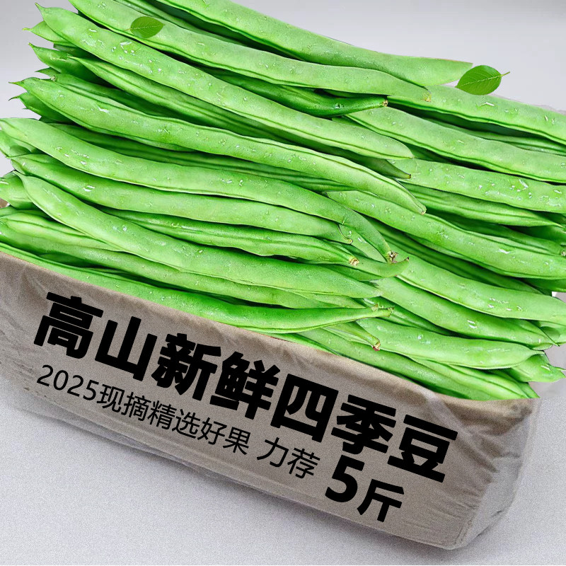 四季豆整箱包邮力推荐包邮
