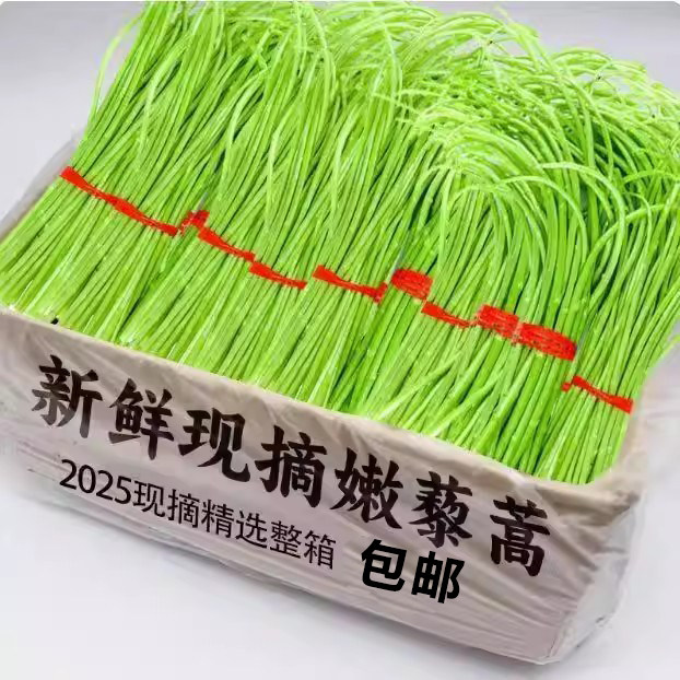 2025当季芦蒿新鲜篱蒿整箱黎蒿去叶新鲜蔬菜野菜藜蒿鲜嫩泥蒿茼蒿