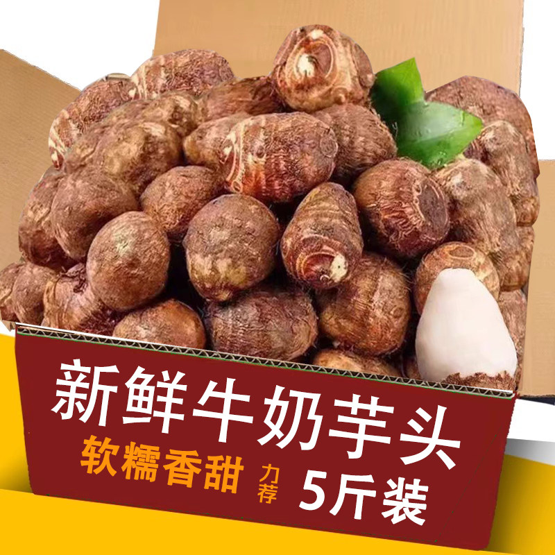 牛奶芋头整箱包邮力荐