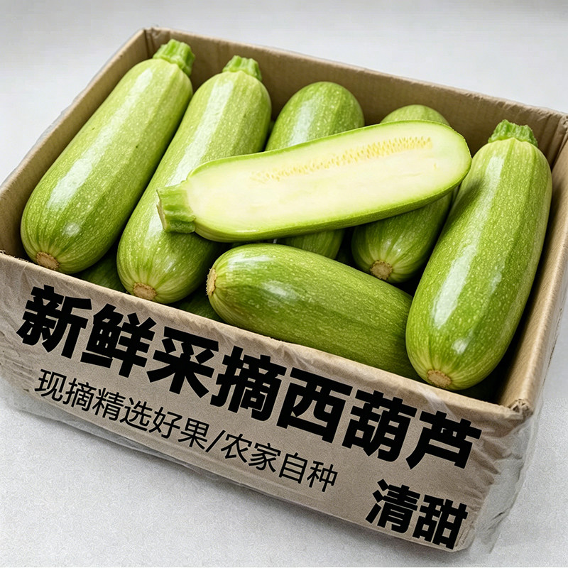 2026西葫芦农家自种新鲜蔬菜现摘