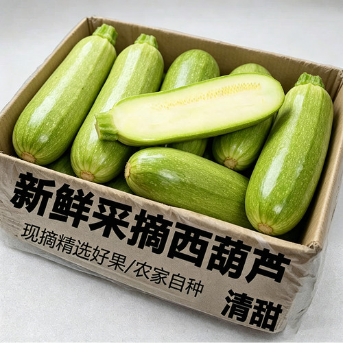 2026西葫芦农家自种新鲜蔬菜现摘