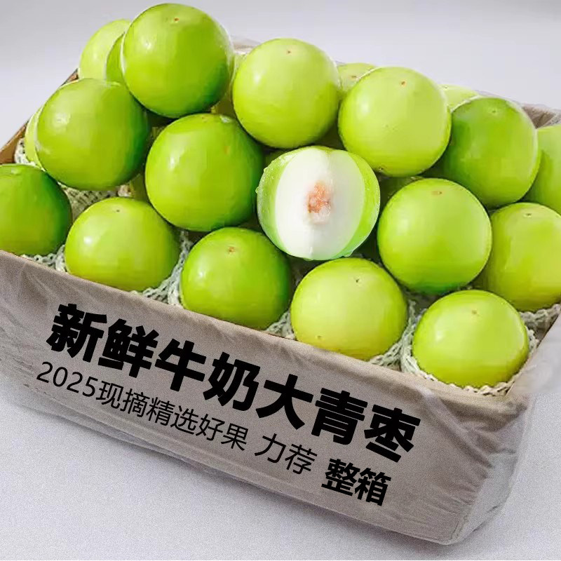 云南牛奶青枣大新鲜当季整箱脆清甜枣子水果冬枣新鲜枣