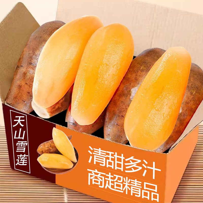 天山雪莲果5斤整箱包邮力荐