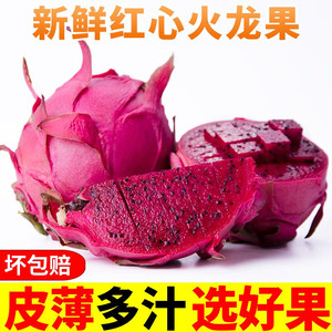 广西红心火龙果5斤金都一号红肉密宝当季新鲜水果