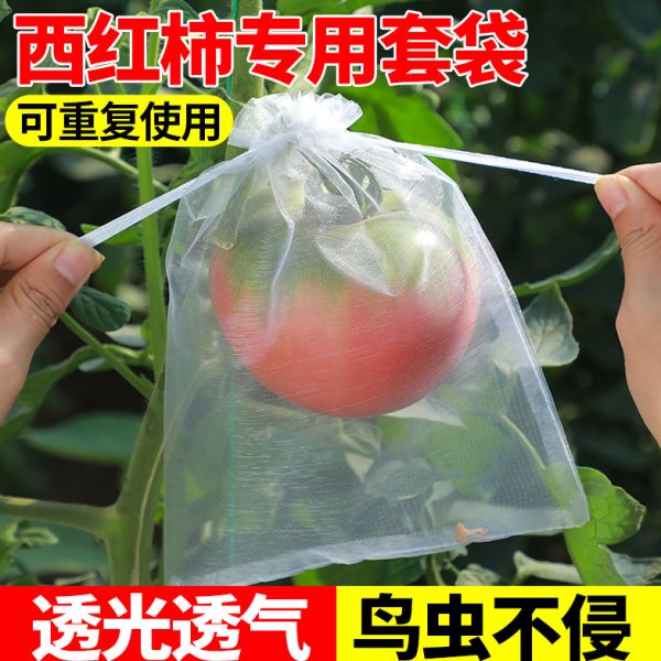 蝇防罩防鸟透气袋树防虫圣女果袋透光专用西红柿果袋套番茄套水果