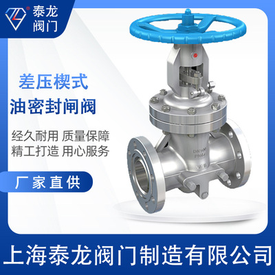 CYZ40H CYZ41H-Y差压楔式油密封法兰闸阀DN50 DN80 DN100
