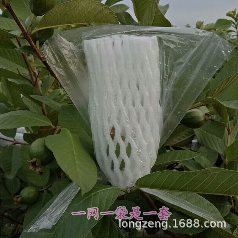 美曾番石榴套袋水蜜桃水果网套一体套袋有耳型防虫防鸟泡沫网胶袋
