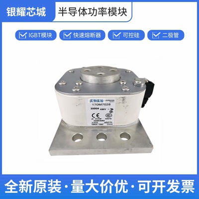 全新 170M7028 低压快速熔断器全新原装现货批次22+