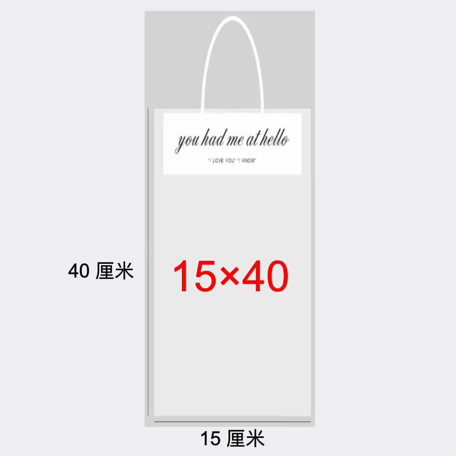 网红透明手提袋饰品袋小中大号伴手礼袋花袋奶茶袋鲜花袋节日礼袋