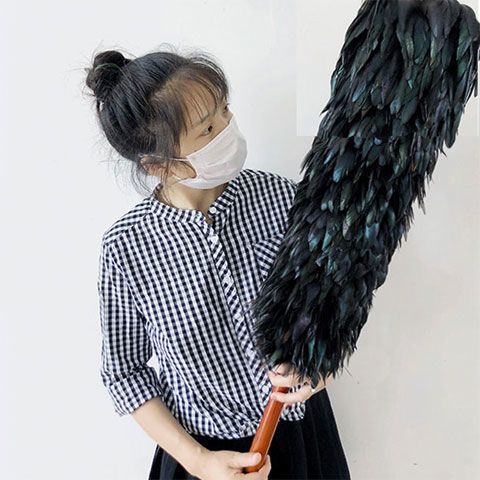 掸子家用不掉毛打扫卫生凊洁扫灰车用防静电除尘掸子包邮。