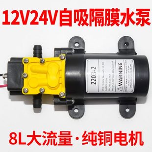 迷你12V电动喷雾器24V小号高压抽水泵微型隔流水泵直膜自吸泵小型