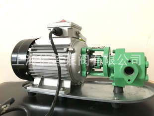 WCB 手提式 50微型输油泵 油料运输泵 油桶油泵 自吸便携式 齿轮泵