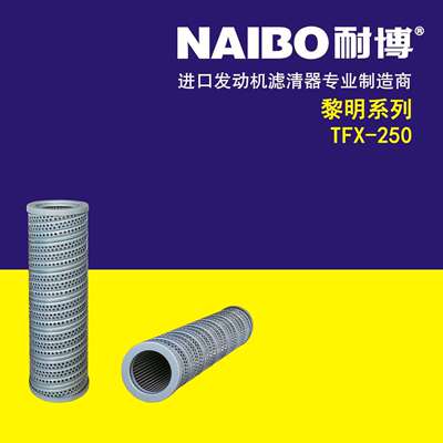 TFX-250黎明系列液压滤