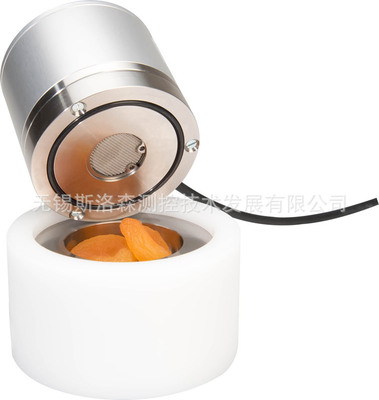 HC2-AW-AW探头 水活度探头 水活性探头 罗卓尼克水活性测量探头