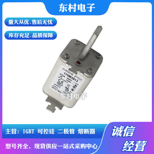 现货170M3113 170M3114 170M3115 170M3116/3117/3118全新熔断器