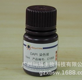 C1005 DAPI染色液 10ML