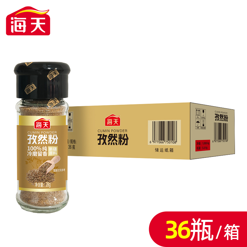 海天孜然粉28g家用瓶装牛排炸串西餐烧烤椒盐香辛撒料调味粉组合