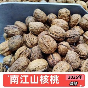 四川巴中特产南江大山自然晒干野山核桃老式老树山核桃2025年新货